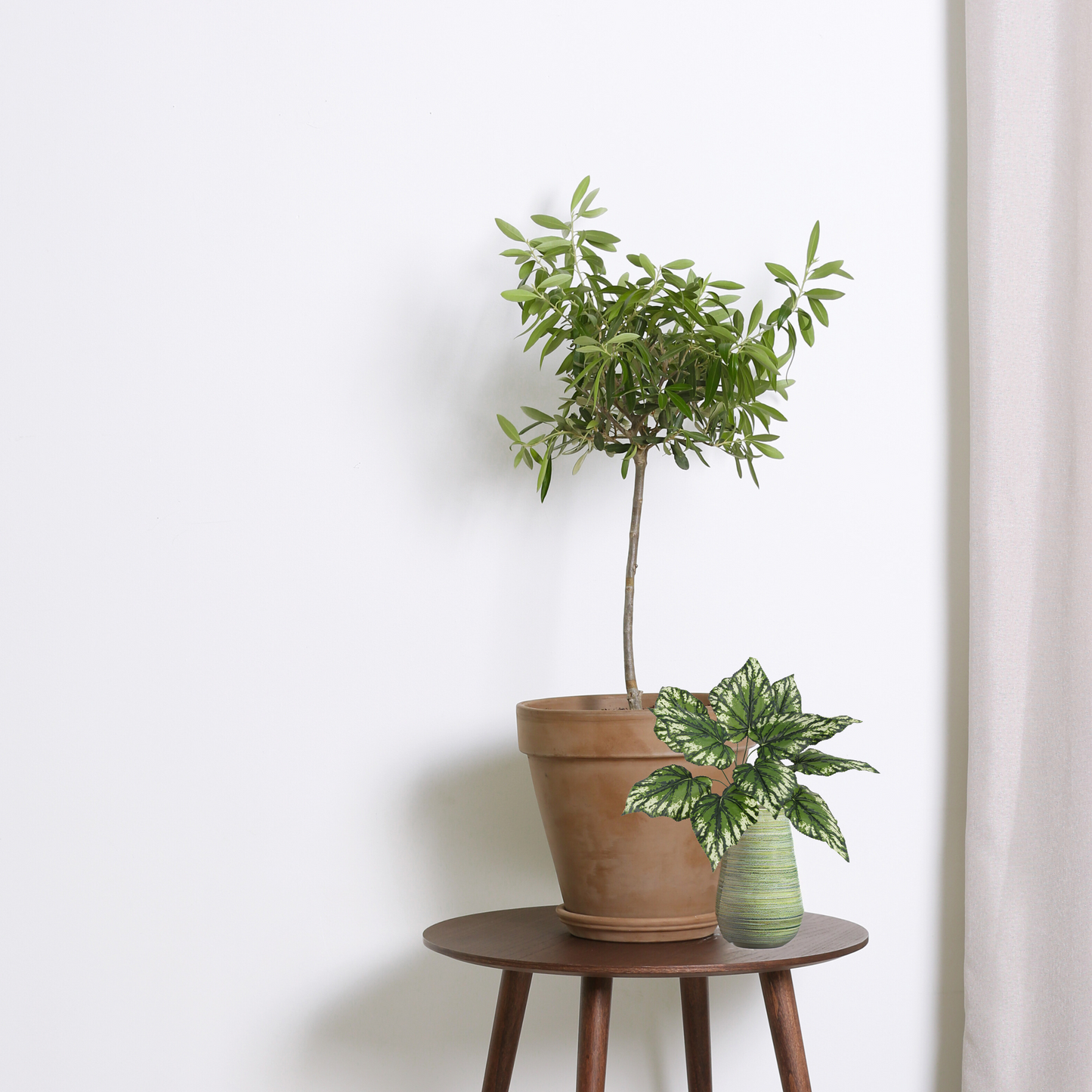 GG6601-GREEN Alocashia Bush Desk Top Plant in Decorative Vase