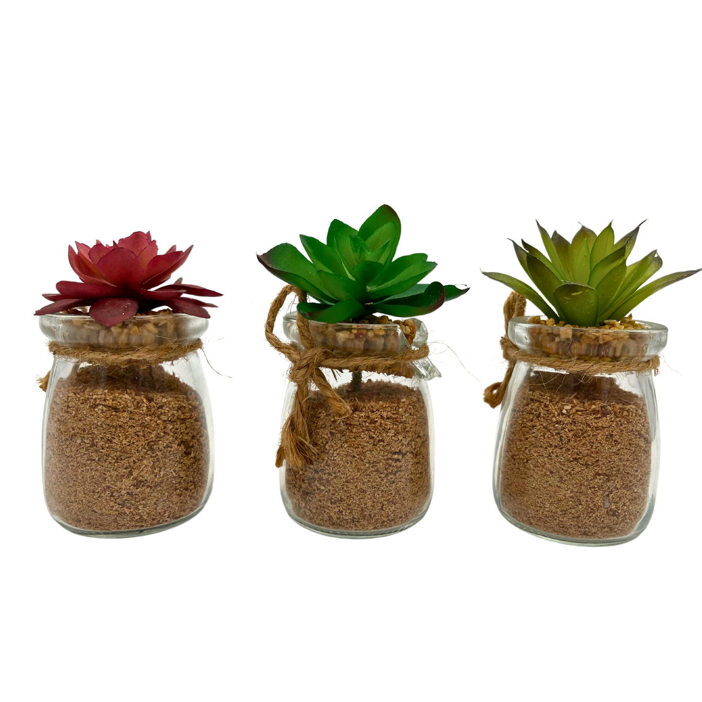 3pcs Succulents in Glass Jar W/Metal Basket Indoor Spring Summer Faux Plant