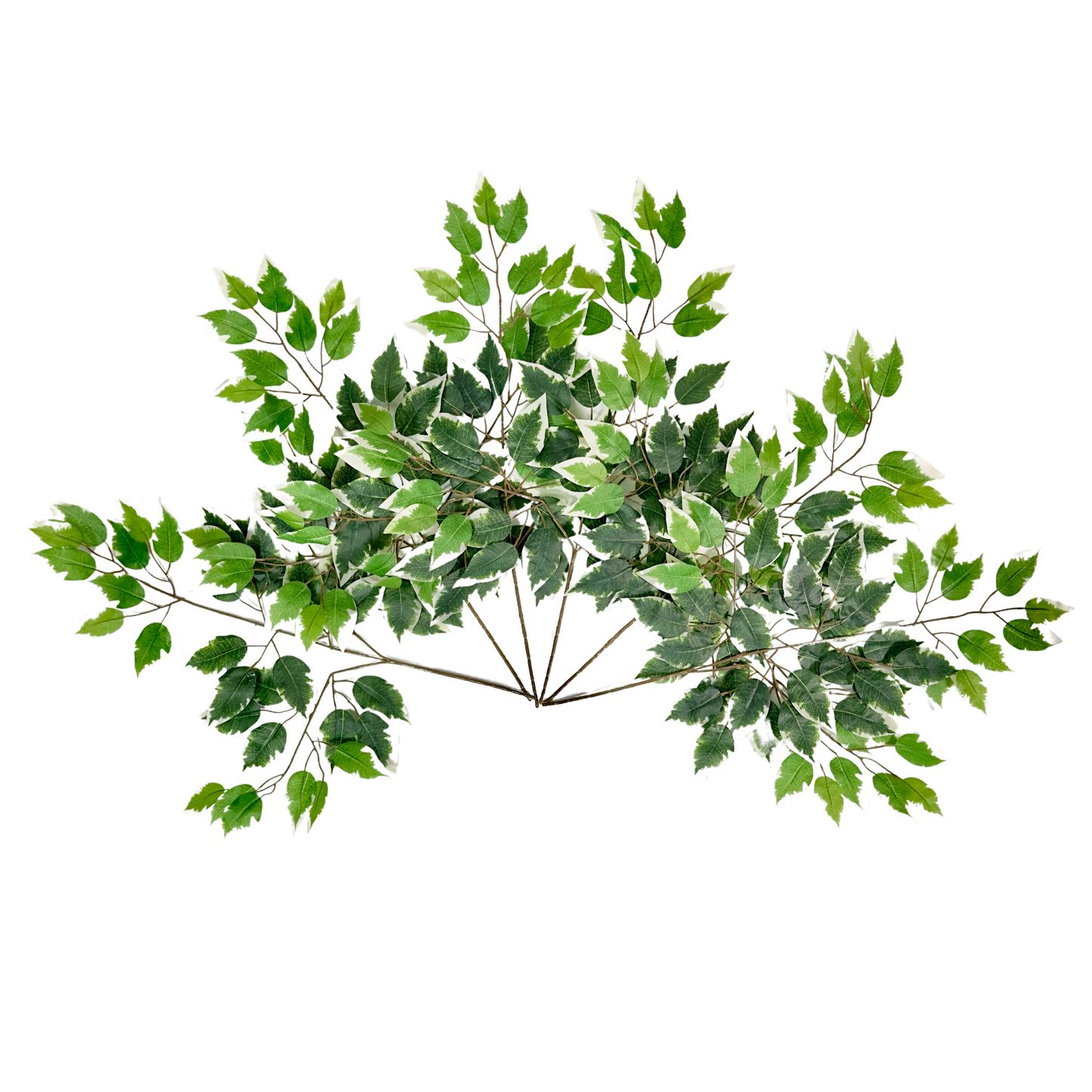 ABN5G001-GRN-6 6 Pc Set Artificial Deluxe Ficuse Spray 3 stem with 42 leaves