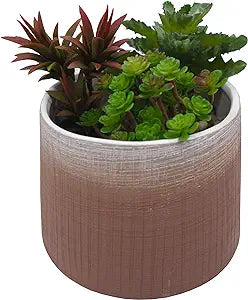 Ombre Ceramic 5.5" Modern Ceramic Flowe Light Brown Two Toned