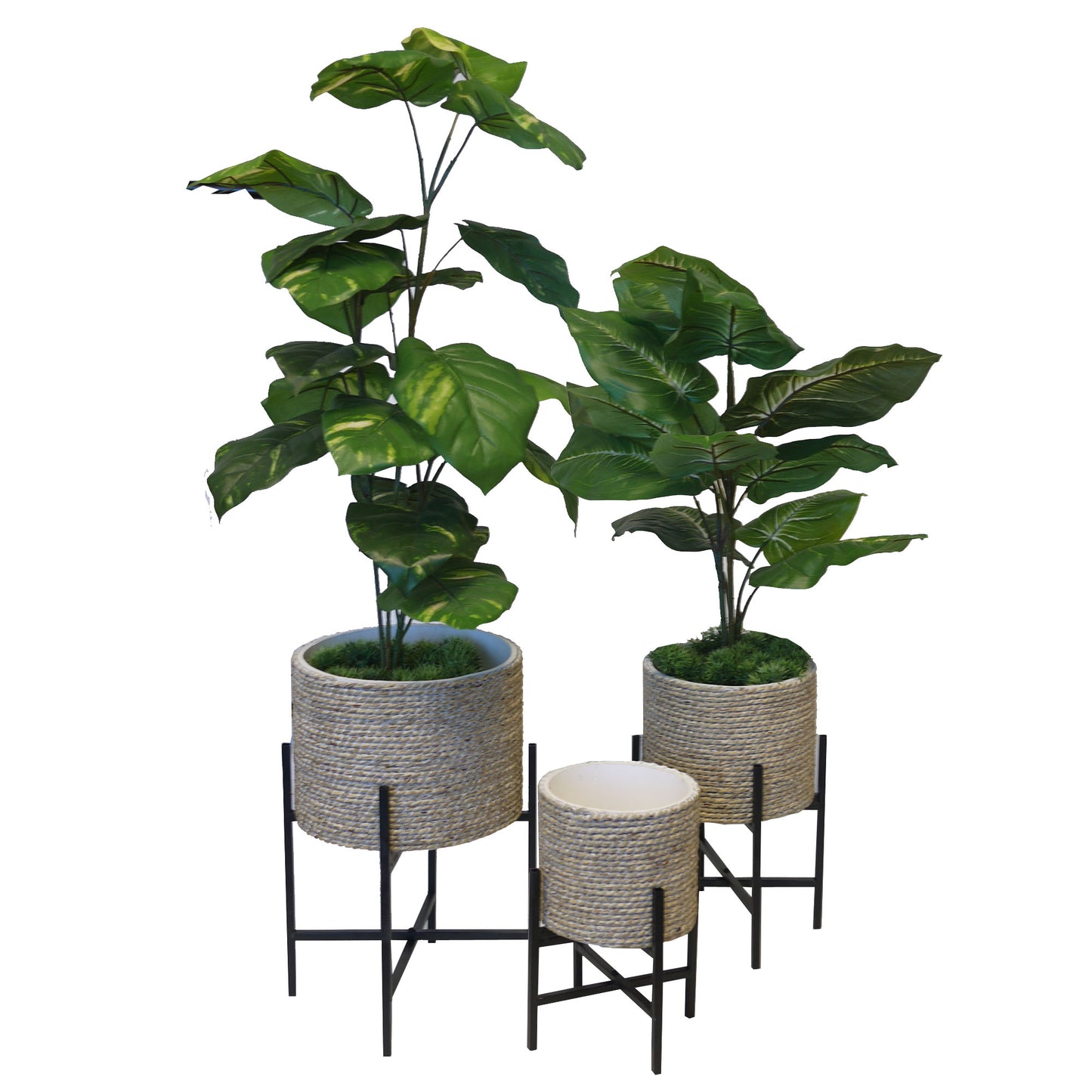 Set of 3 3 sizes Modern Planter Pot Flower Plants Holder