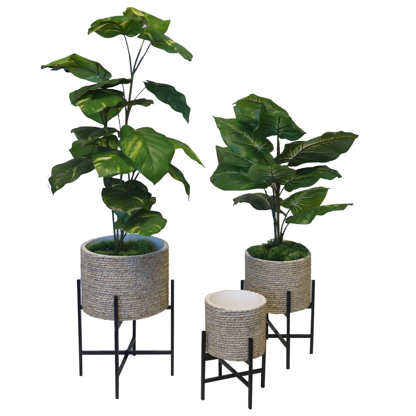 Set of 3 3 sizes Modern Planter Pot Flower Plants Holder