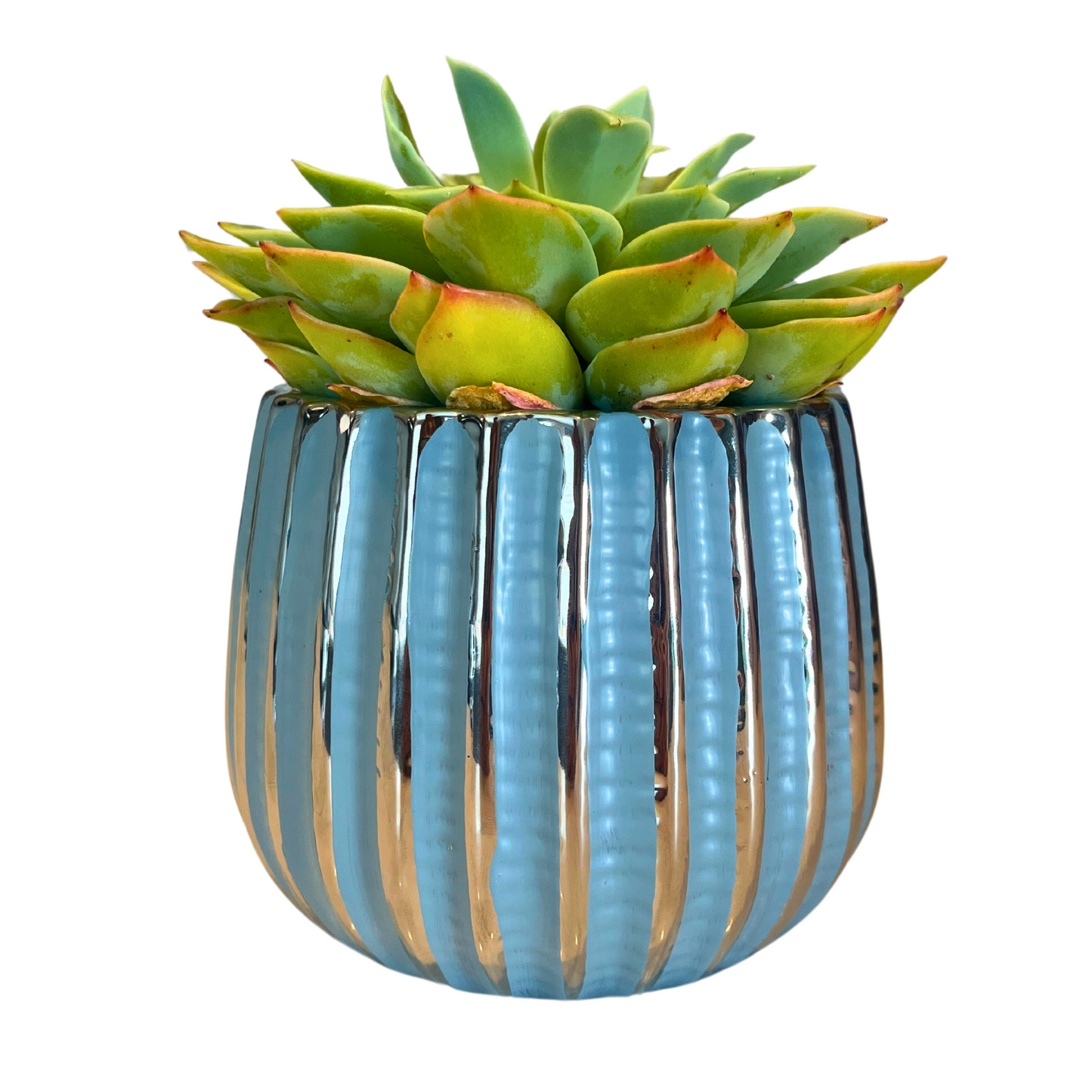 4" Ceramic Flower Planter Pot