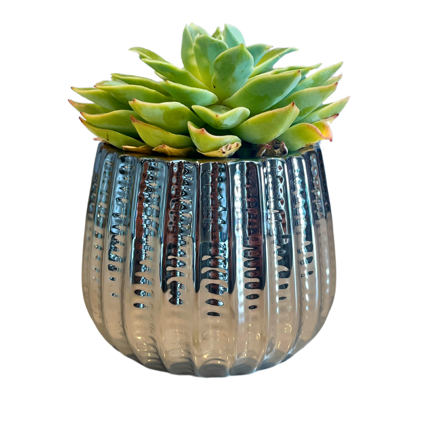 4" Ceramic Flower Planter Pot