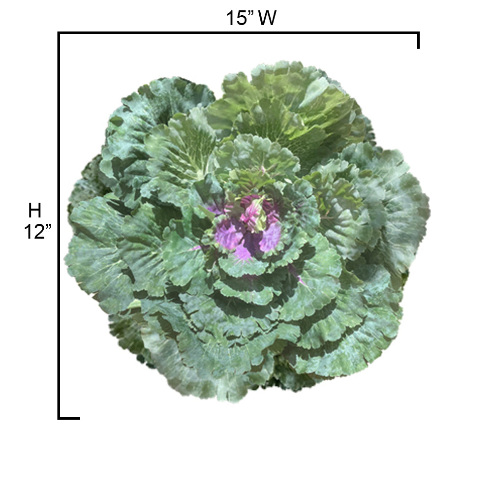 Faux Cabbage Artificial Vegetables