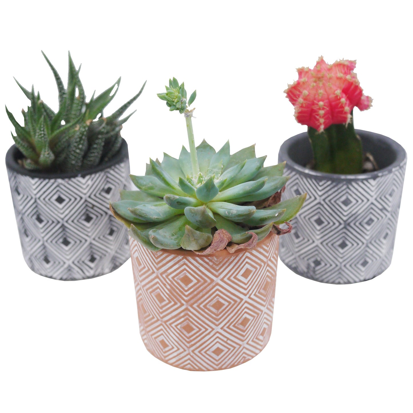 ABN5E156-MIX Mini Pot Planters 3 Inch Ceramic ContemporarySet of 3,