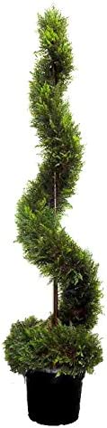 5' Artificial Cypress Leave Spiral Topiary Plant Tree,  GTR3640-NATURAL-2