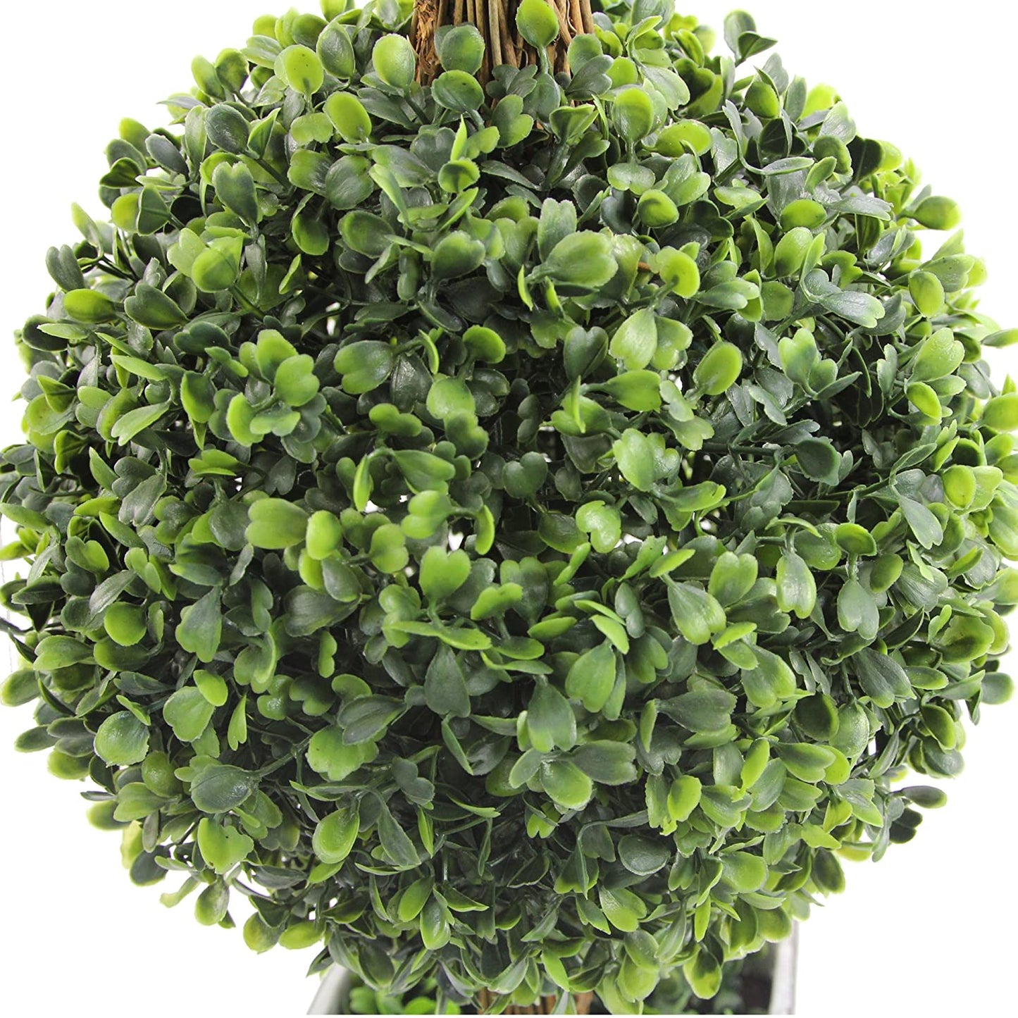 GG7659-GREEN Desktop Double Ball- Shaped Boxwood Topiary in Pot
