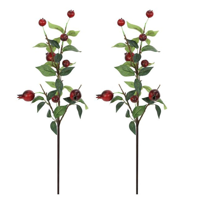 ABN3L002-BURG 28.5" POMEGRANATE SPRAY
