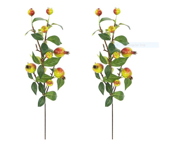 ABN3L002-BURG 28.5" POMEGRANATE SPRAY