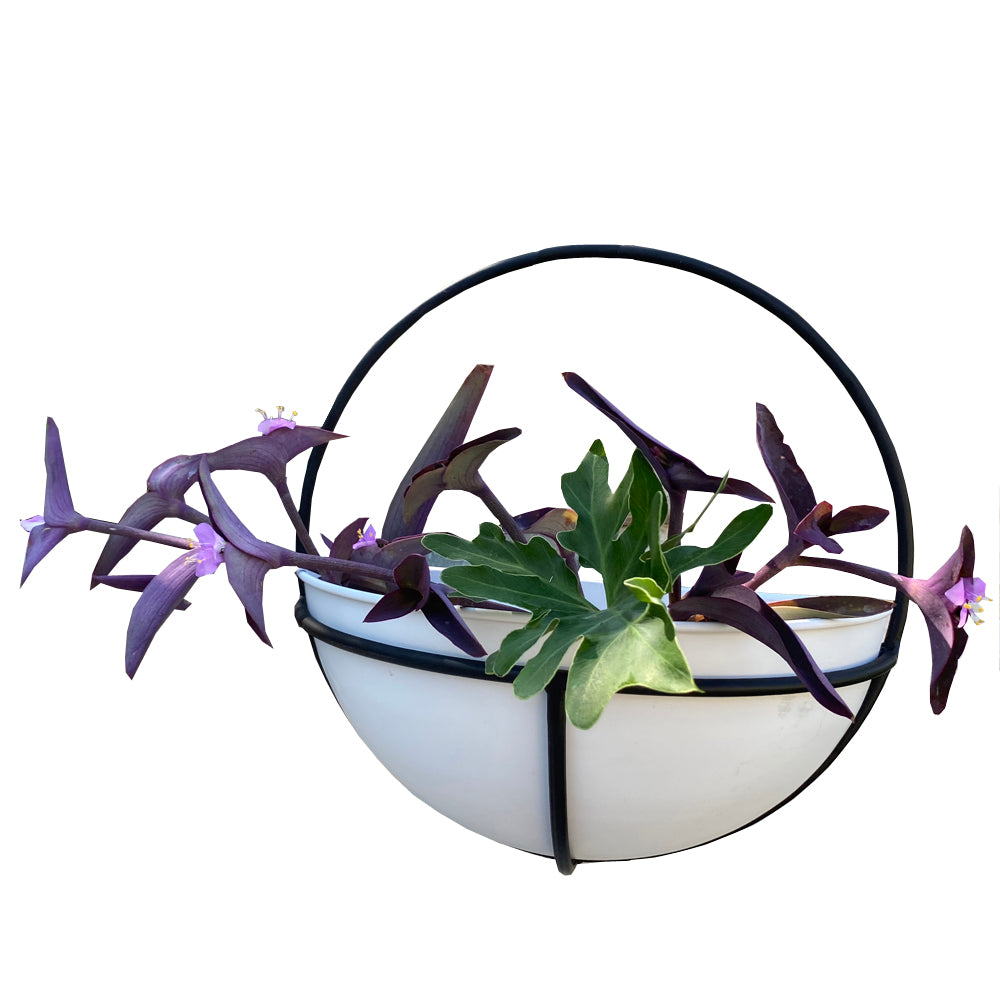 ABN5E169-WHT-BK 3-Piece Ceramic Wall Planter Set