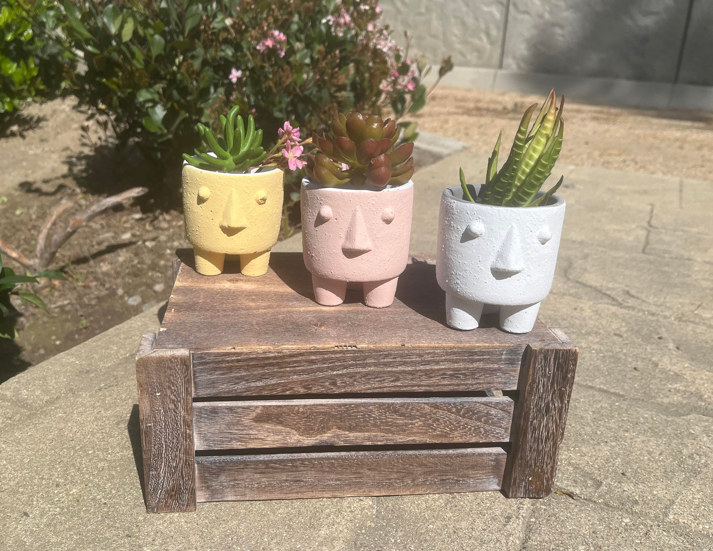 3.25" Cute Ceramic Face Planter Pot