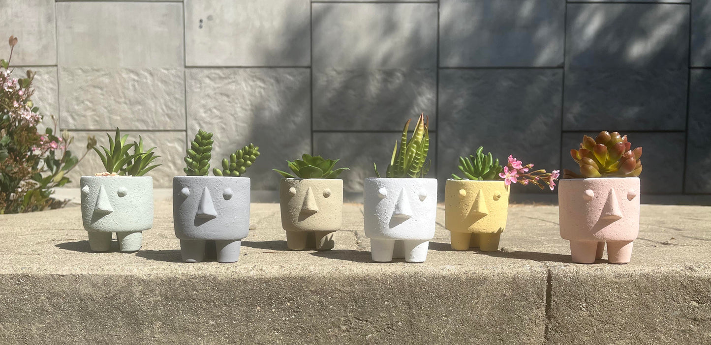 3.25" Cute Ceramic Face Planter Pot