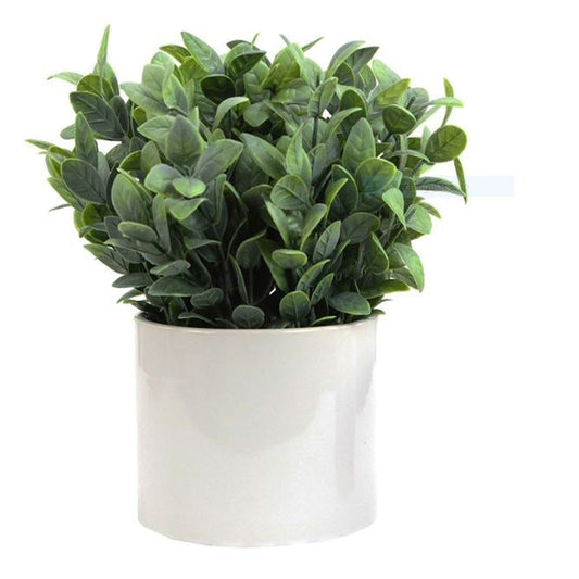 8.25"H Artficial Frosted Ruscus Ceramic Potted Plant Indoor Faux Plant
