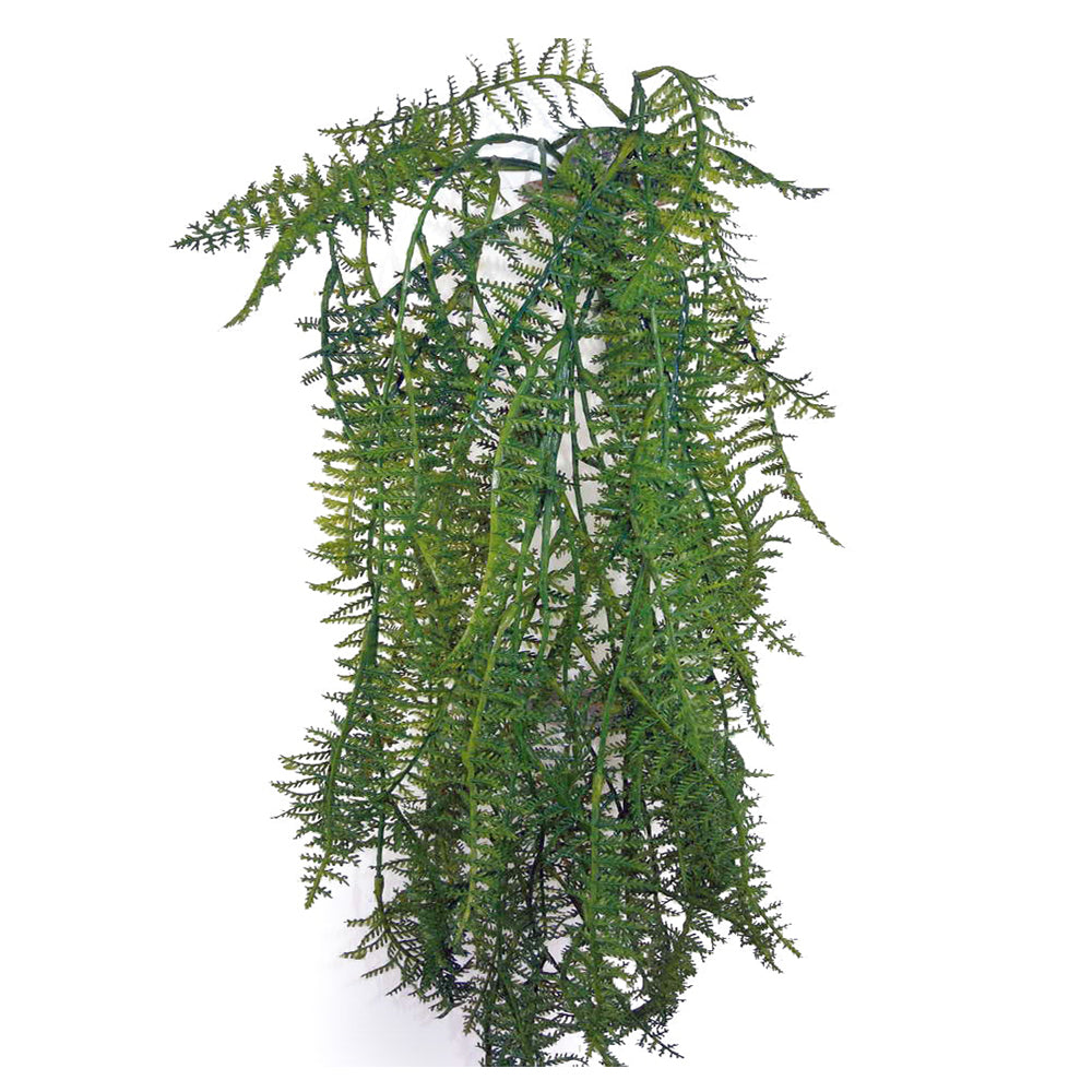 GG3618-GREEN-4 31 inch Artificial Plumosa Hang Bush 5 Stem -4 Piece