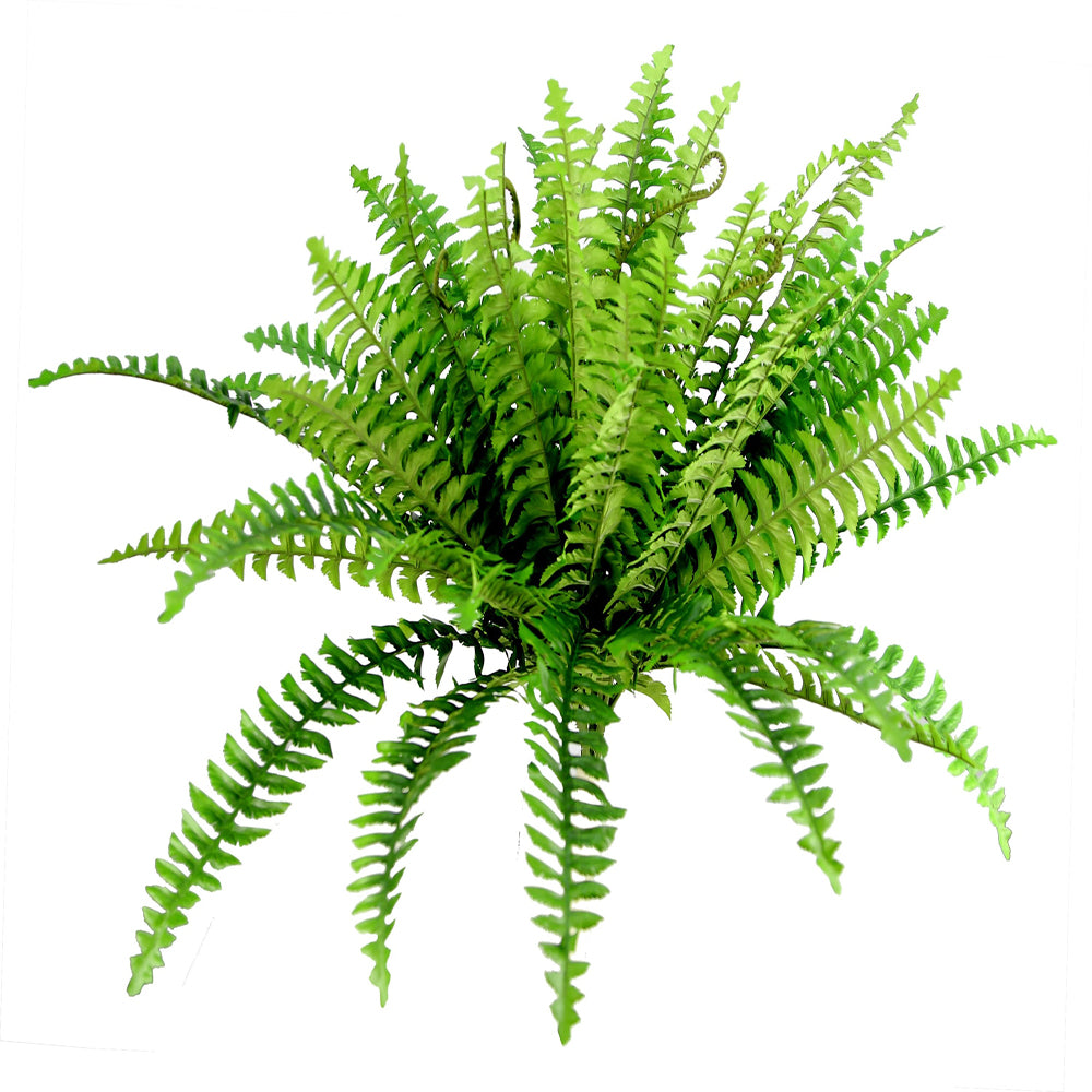GG4613-DK.GN 42 Leaves Faux Greenery Boston Fern Bush