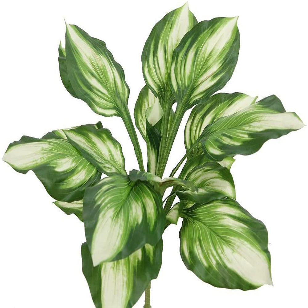 GG6603-GREEN 18 Stem Artificial Dieffenbachia Bush