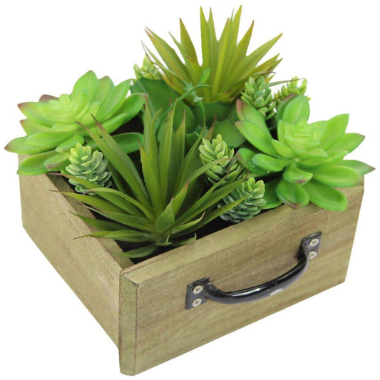 GG7689-NATURAL Artificial Potted Succulents Plants