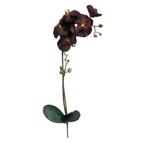 GPL951-BEAUTY - 30"H Artificial Orchid Phalaenopsis Spray Velvet