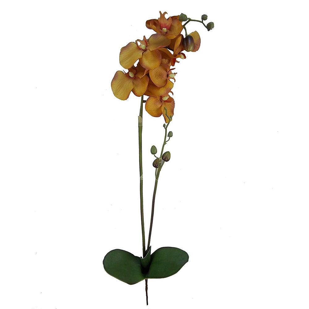 GPL951-BEAUTY - 30"H Artificial Orchid Phalaenopsis Spray Velvet