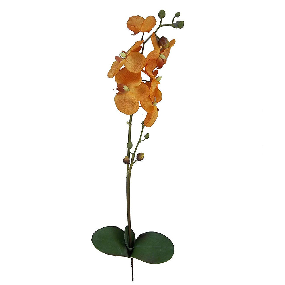GPL951-BEAUTY - 30"H Artificial Orchid Phalaenopsis Spray Velvet
