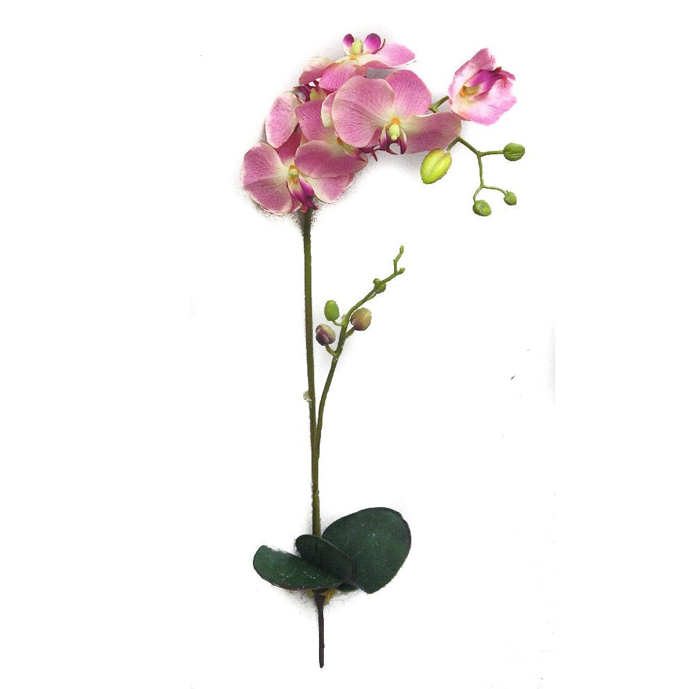 GPL951-BEAUTY - 30"H Artificial Orchid Phalaenopsis Spray Velvet