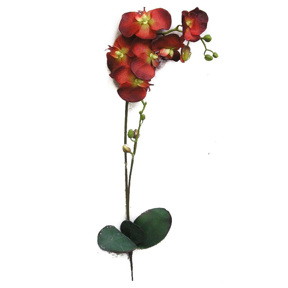 GPL951-BEAUTY - 30"H Artificial Orchid Phalaenopsis Spray Velvet