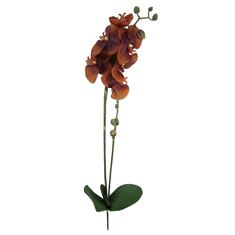 GPL951-BEAUTY - 30"H Artificial Orchid Phalaenopsis Spray Velvet