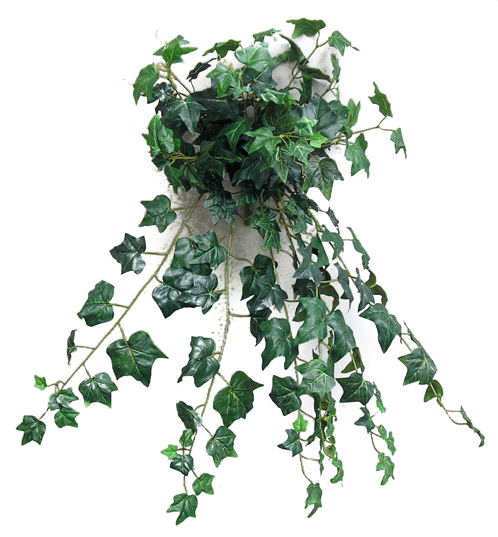 GG180-ENG. IVY-2 27 inch Artificial English Ivy Hanging Bush 2 PieceEnglish Ivy