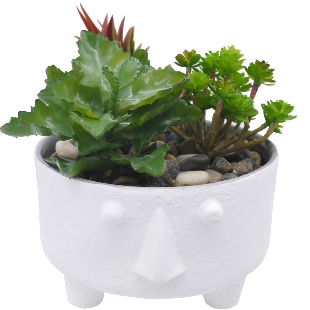 5" Cute Face Planter Pot Flower Plant PlanterSucculent Ceramic Pot Planter