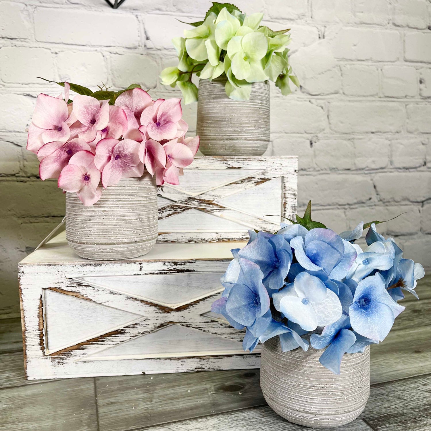 Potted Plants