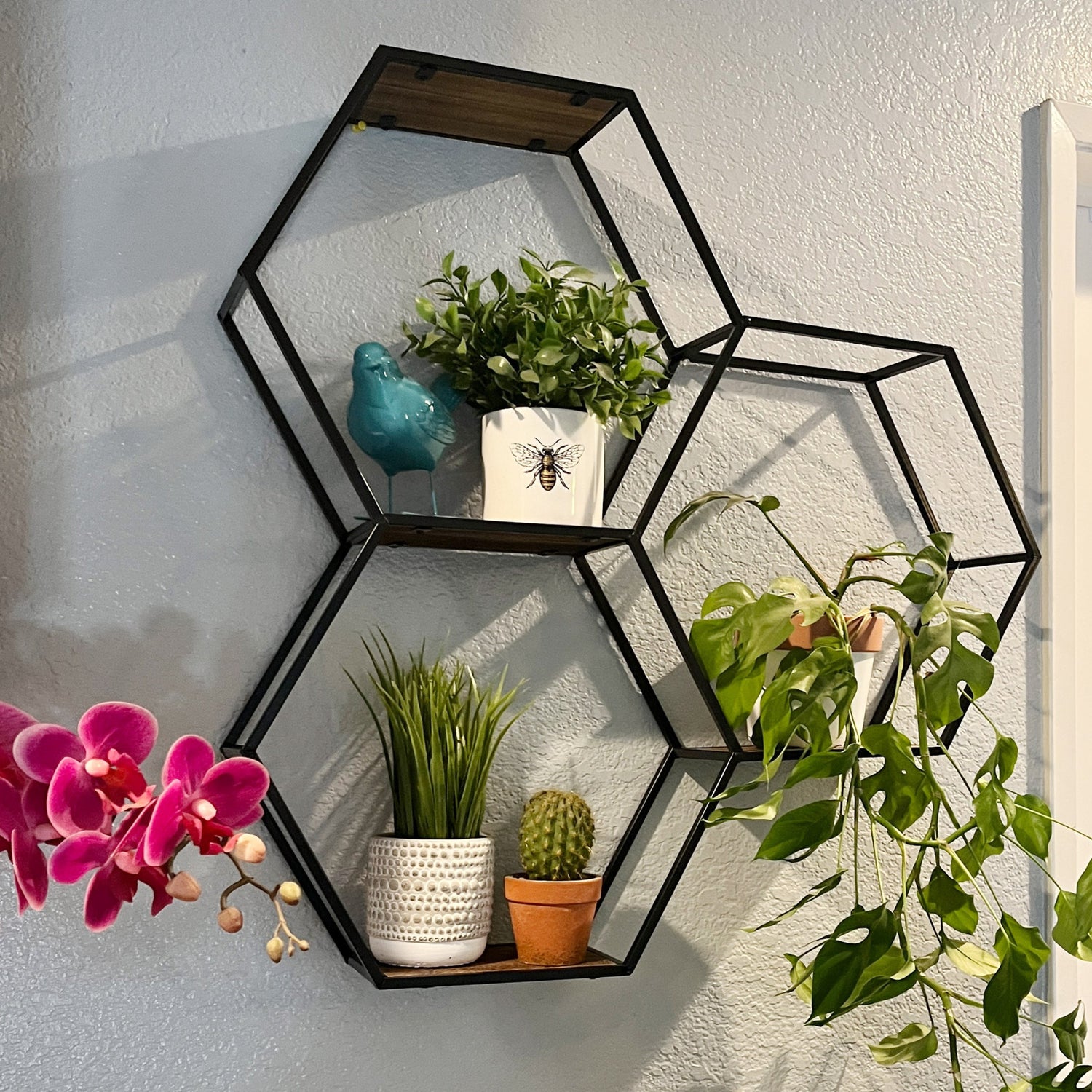 Wall Decor