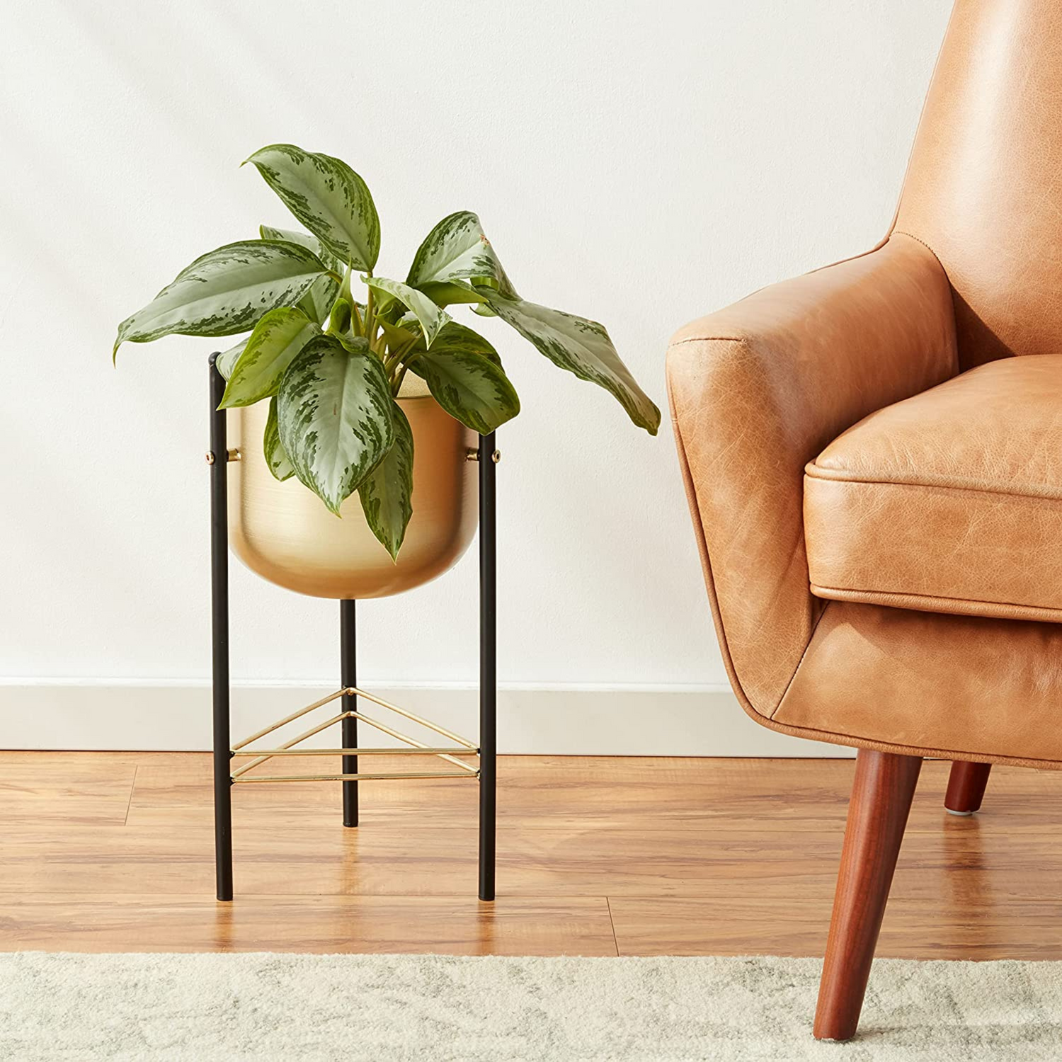 Planter Stand