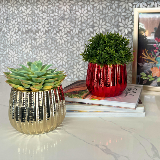 4" Ceramic Flower Planter Pot