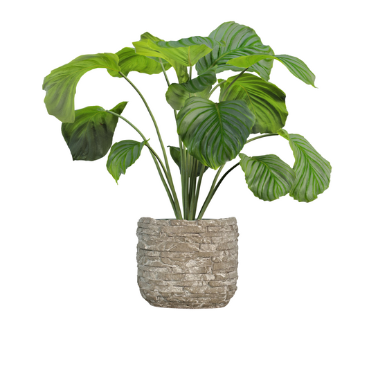 5 inch Ceramic Flower Planter Pot