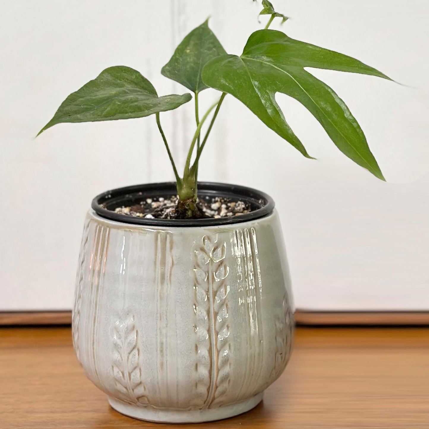 4.5" Ceramic Flower Planter Ceramic Pot Planter