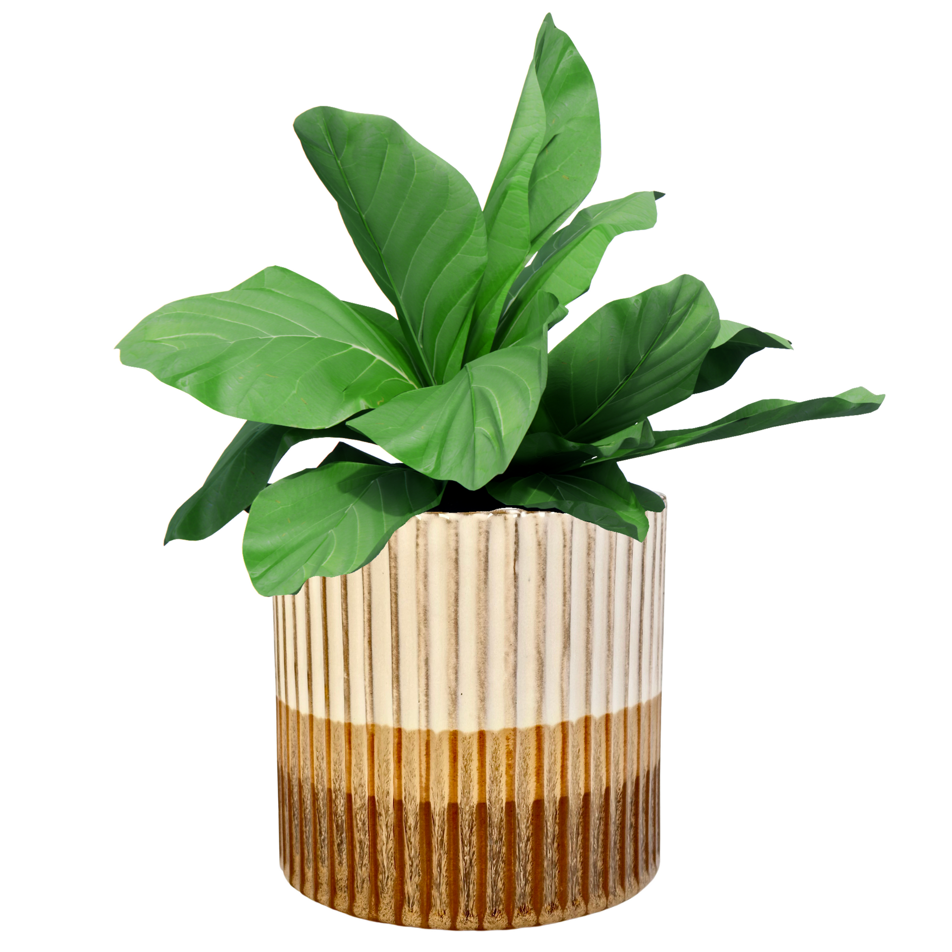 5 inch Ceramic Flower Planter Pot – Admired By Nature