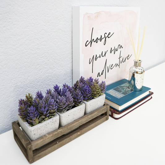 3pcs Artficial Succulents W/ Wooden Tray Potted Plant Indoor Spring Summer Faux Plant