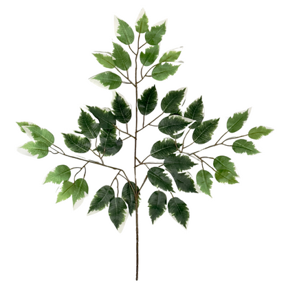 ABN5G001-GRN-6  6 Pc Set Artificial Deluxe Ficuse Spray 3 stem with 42 leaves