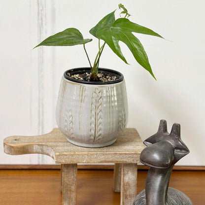 4.5" Ceramic Flower Planter Ceramic Pot Planter