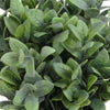 8.25"H Artficial Frosted Ruscus Ceramic Potted Plant Indoor Faux Plant