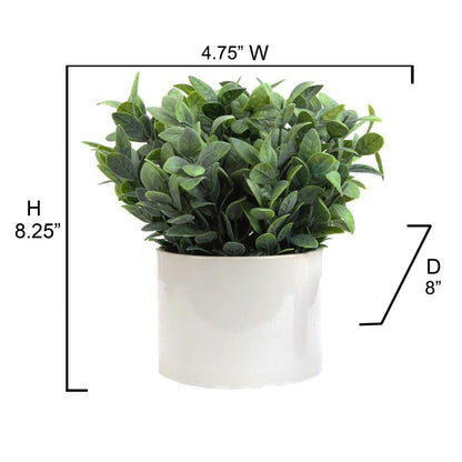 8.25"H Artficial Frosted Ruscus Ceramic Potted Plant Indoor Faux Plant