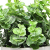 8.25"H Artficial Frosted Ruscus Ceramic Potted Plant Indoor Faux Plant