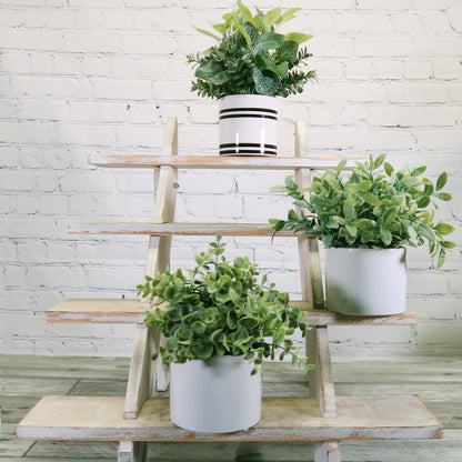 8.25"H Artficial Frosted Ruscus Ceramic Potted Plant Indoor Faux Plant
