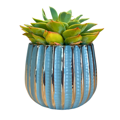 4" Ceramic Flower Planter Pot