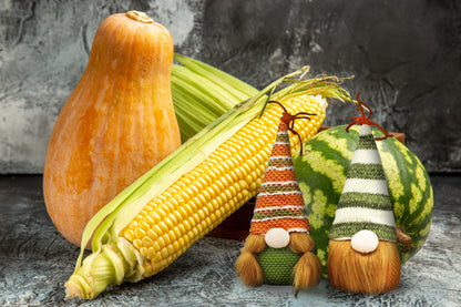 6-inch Fall Gnomes Thanksgiving