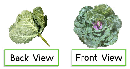 Faux Cabbage Artificial Vegetables