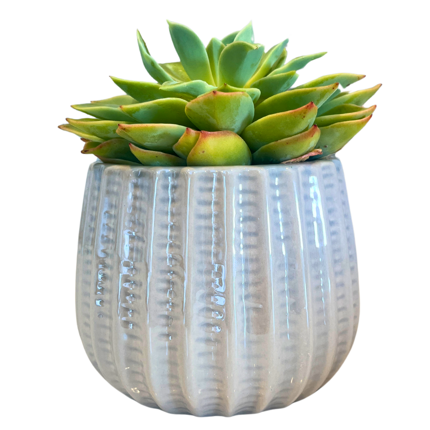 4" Ceramic Flower Planter Pot
