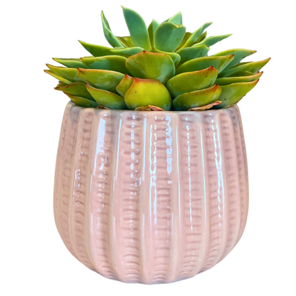4" Ceramic Flower Planter Pot