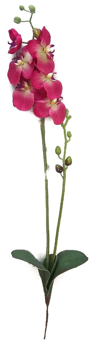GPL951-BEAUTY - 30"H Artificial Orchid Phalaenopsis Spray Velvet